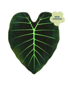 Regal Shield Giant Leaf Blanket - premium quality - Green Philosophy Co.