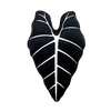 Alocasia Frydek - Obsidian - premium quality - Green Philosophy Co.