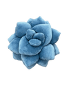 Lil' Pop Succulent® - Smokey Blue - premium quality - Green Philosophy Co.