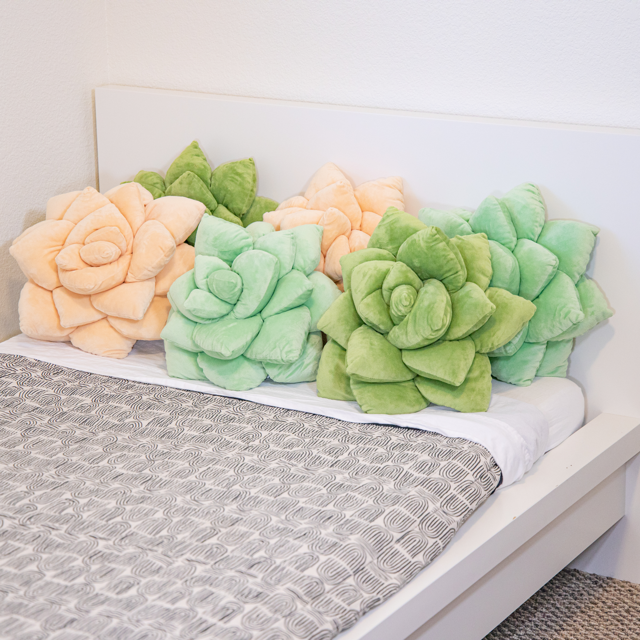 Product view 4 - Lil' Pop Succulent® - Blush Peach - Green Philosophy Co.