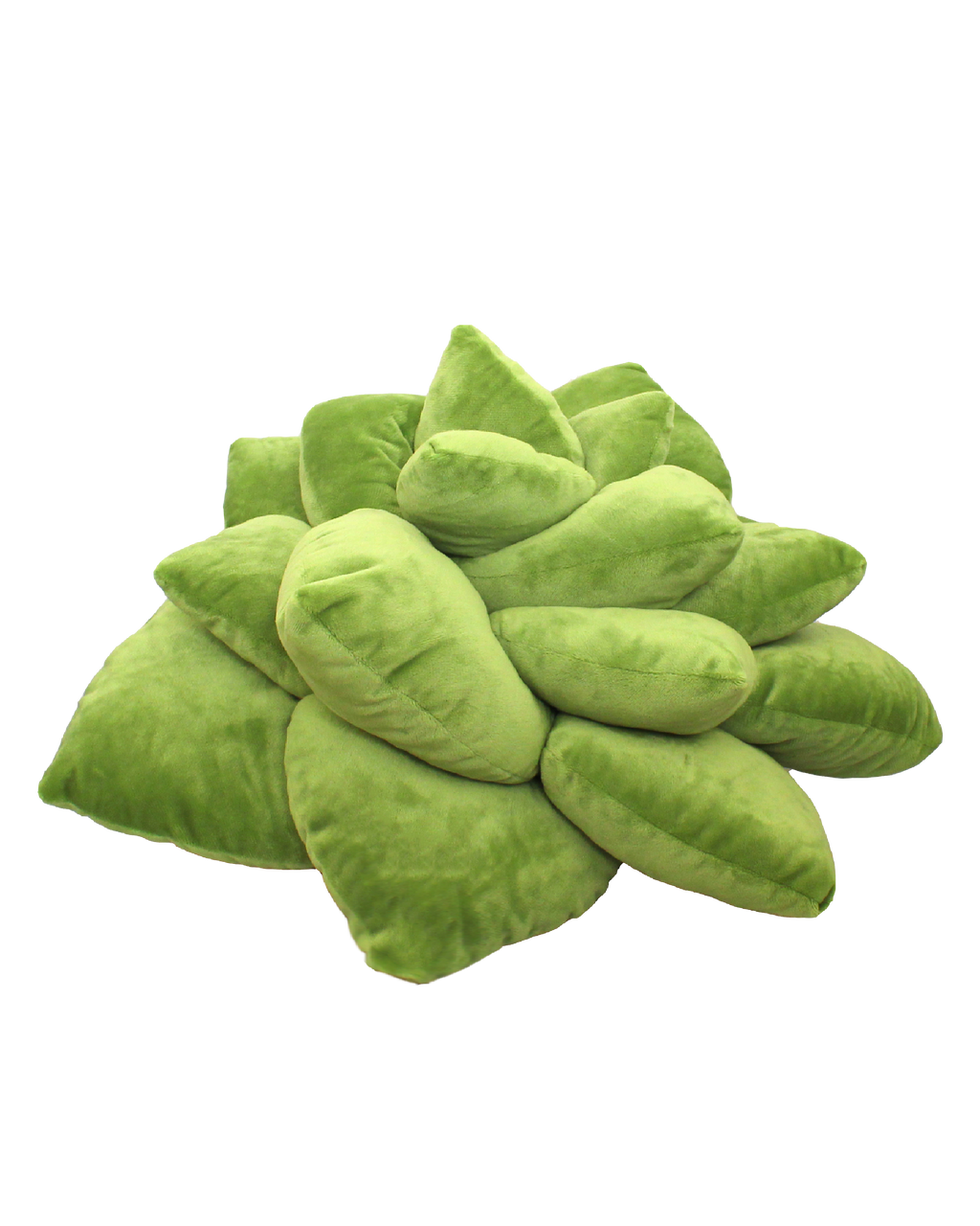 Lifestyle photo showing Big Pop Succulent® - Olive Green in use - Green Philosophy Co.