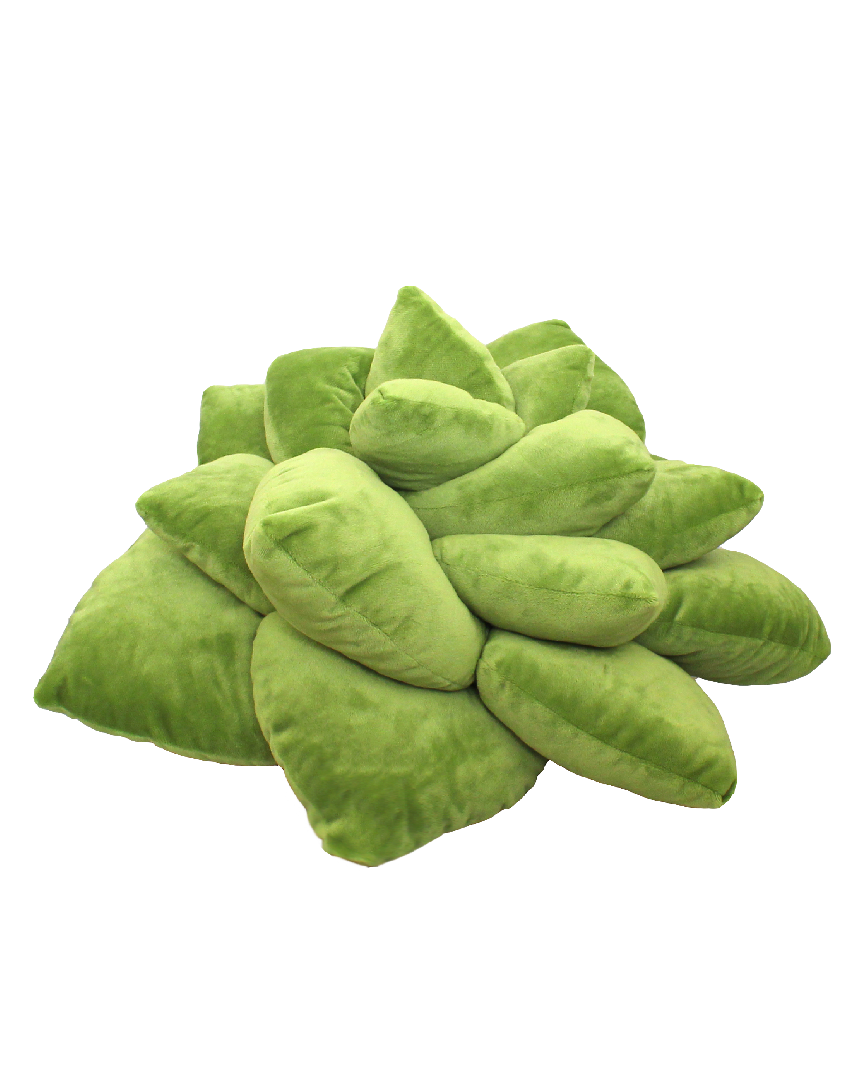 Lifestyle photo showing Big Pop Succulent® - Olive Green in use - Green Philosophy Co.