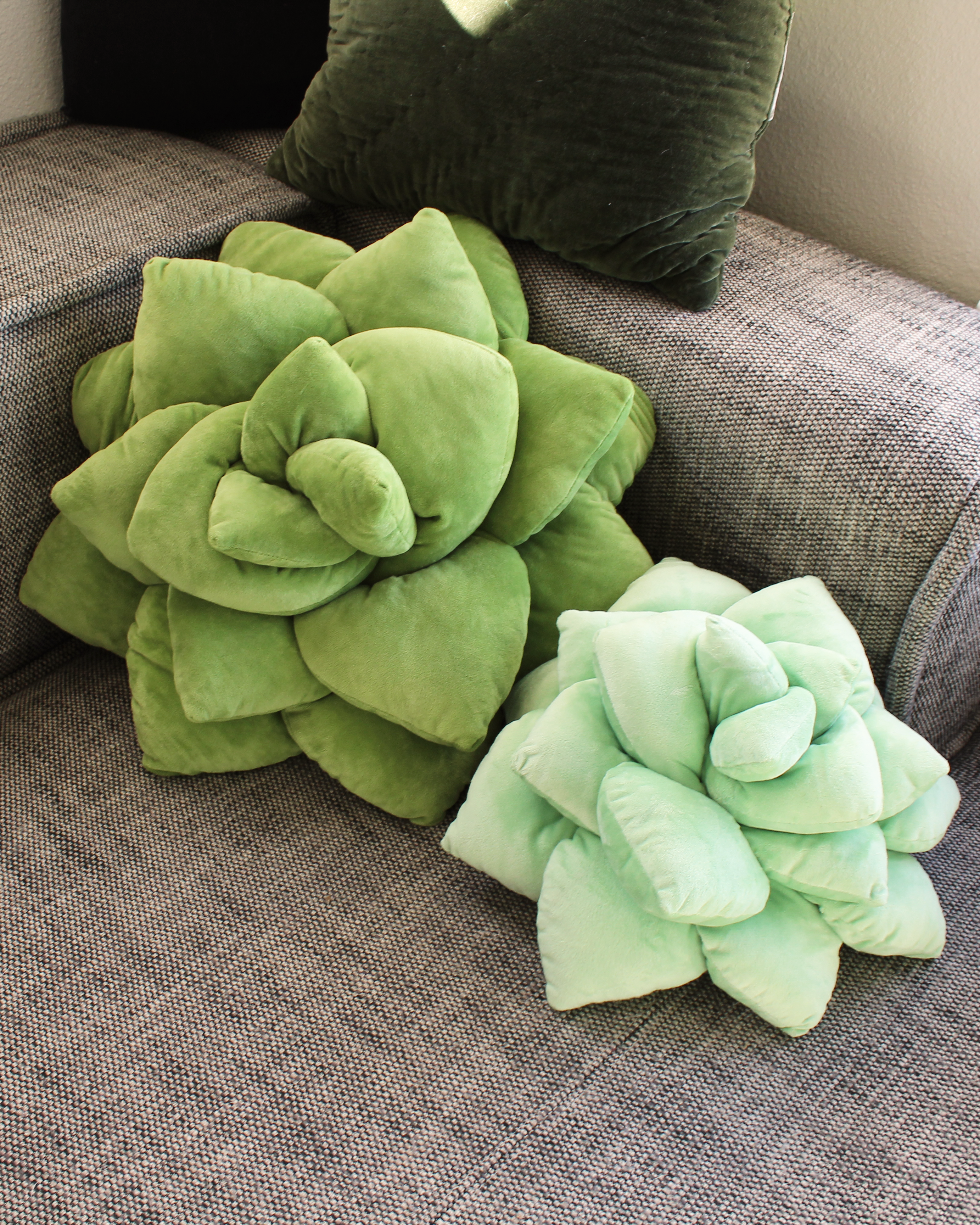 Close-up detail showing quality craftsmanship and materials - Big Pop Succulent® - Olive Green