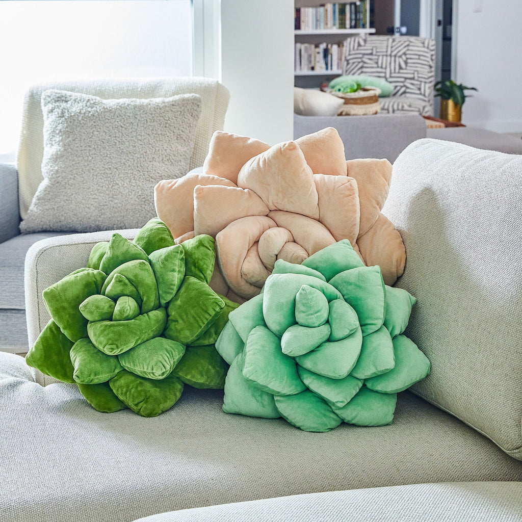 Product view 6 - Lil' Pop Succulent®  - Sage Green - Green Philosophy Co.