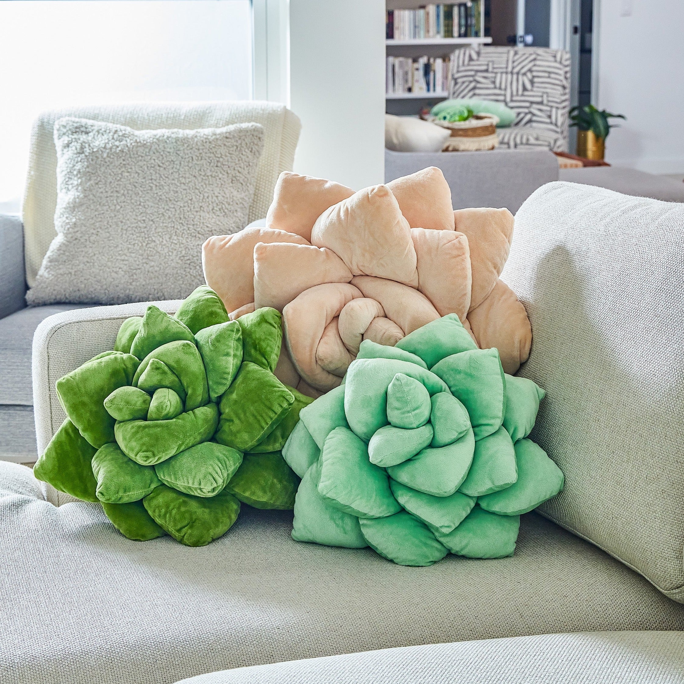 Product view 6 - Lil' Pop Succulent®  - Sage Green - Green Philosophy Co.