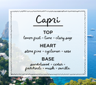 Product view 5 - CAPRI • lemon peel & sage - Malibu Apothecary