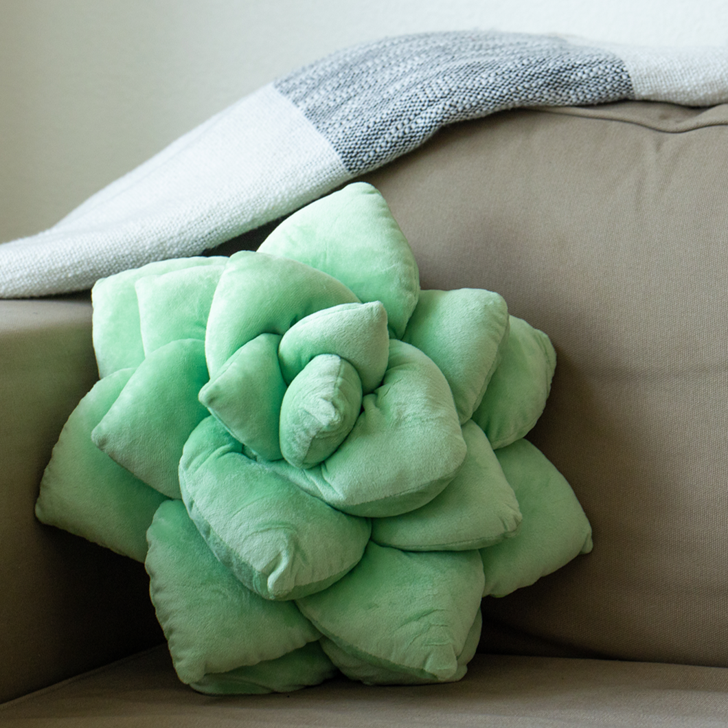 Product view 5 - Lil' Pop Succulent®  - Sage Green - Green Philosophy Co.