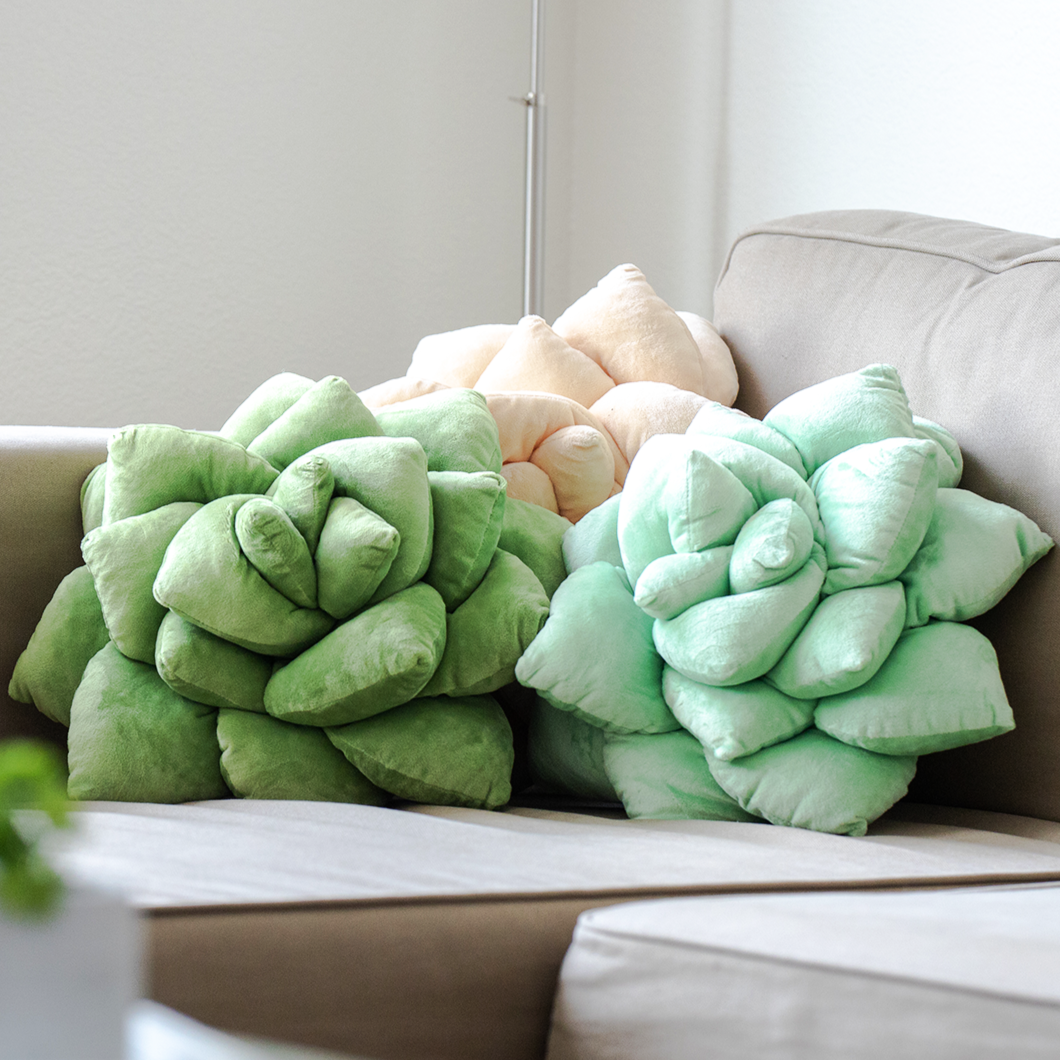 Product view 5 - Lil' Pop Succulent®  - Olive Green - Green Philosophy Co.