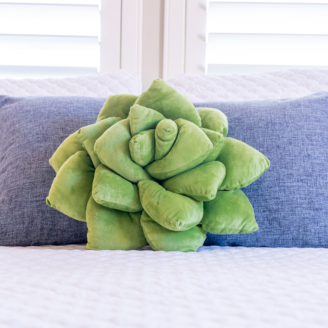 Product view 4 - Lil' Pop Succulent®  - Olive Green - Green Philosophy Co.