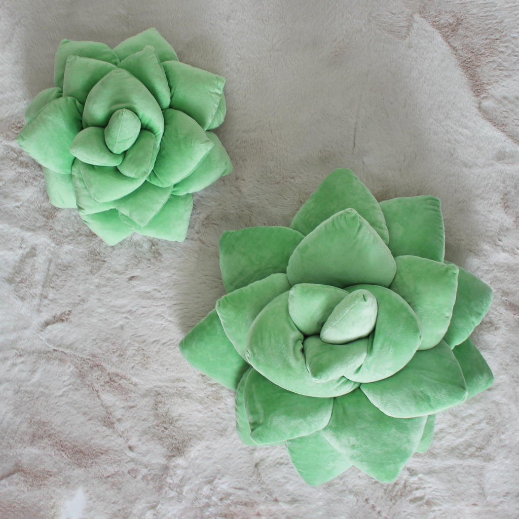Lifestyle photo showing Big Pop Succulent® - Sage Green in use - Green Philosophy Co.