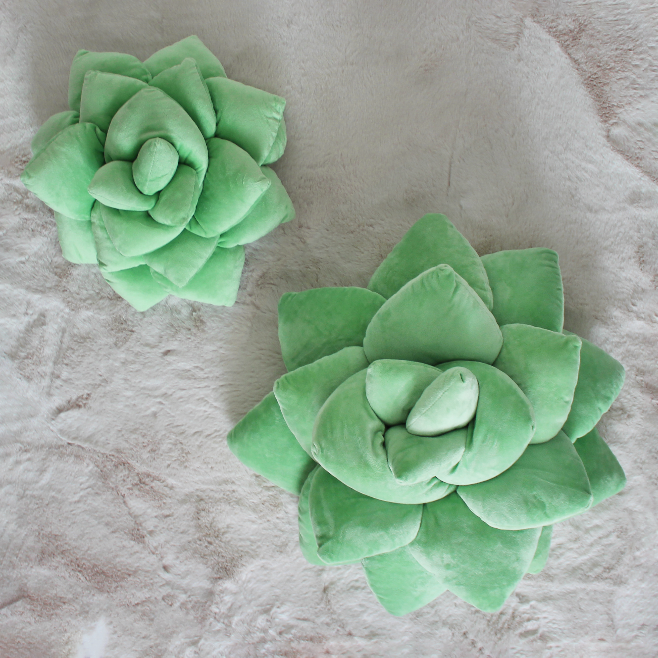 Lifestyle photo showing Big Pop Succulent® - Sage Green in use - Green Philosophy Co.
