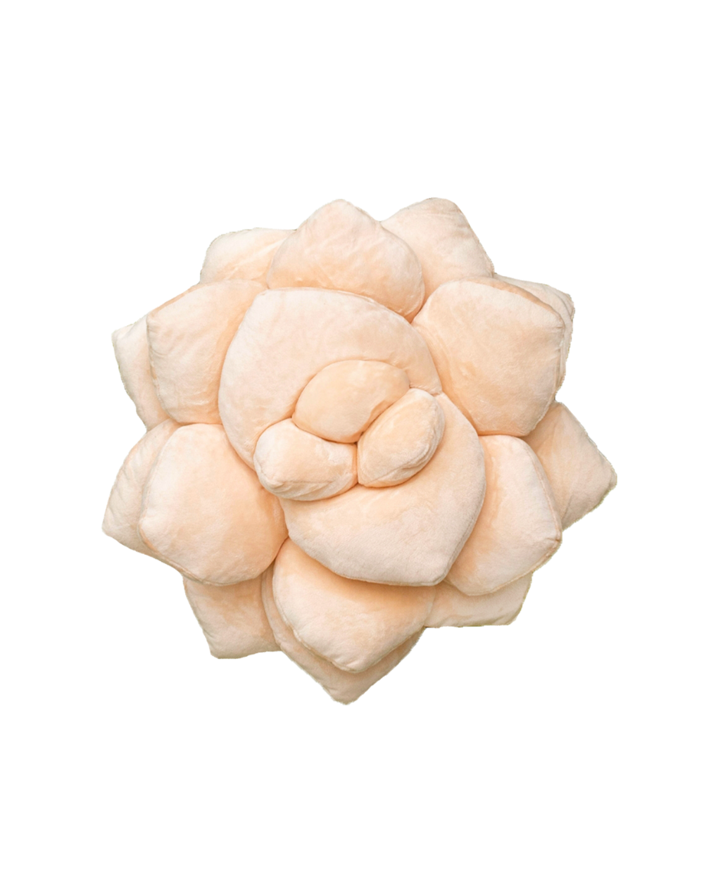 Lil' Pop Succulent® - Blush Peach - premium quality - Green Philosophy Co.