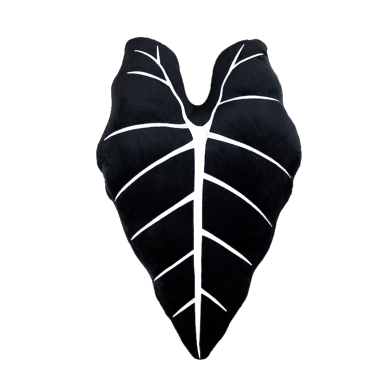Alocasia Frydek - Obsidian - premium quality - Green Philosophy Co.