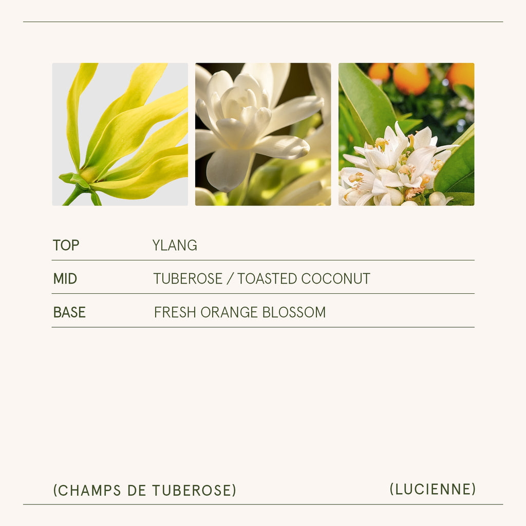 Product view 7 - Lucienne - Champs de Tuberose Candle - LA JOLIE MUSE