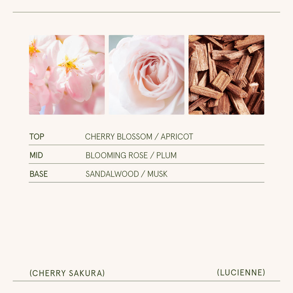 Product view 6 - Lucienne - Cherry Sakura Candle - LA JOLIE MUSE