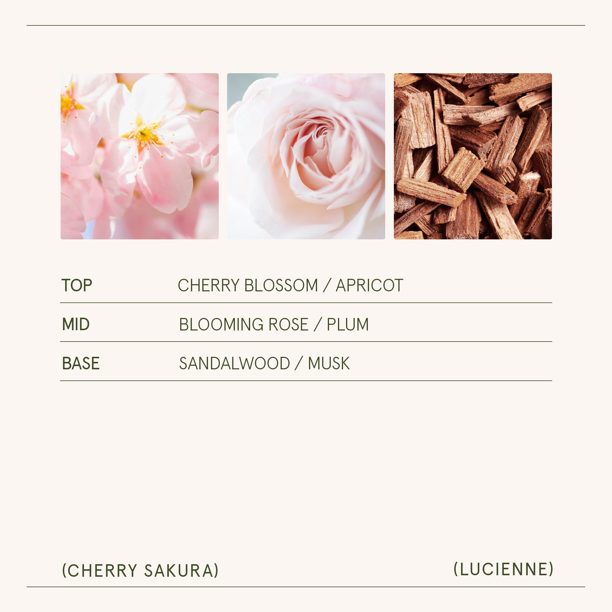 Product view 6 - Lucienne - Cherry Sakura Candle - LA JOLIE MUSE