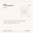 Product view 7 - Lucienne - Cherry Sakura Candle - LA JOLIE MUSE