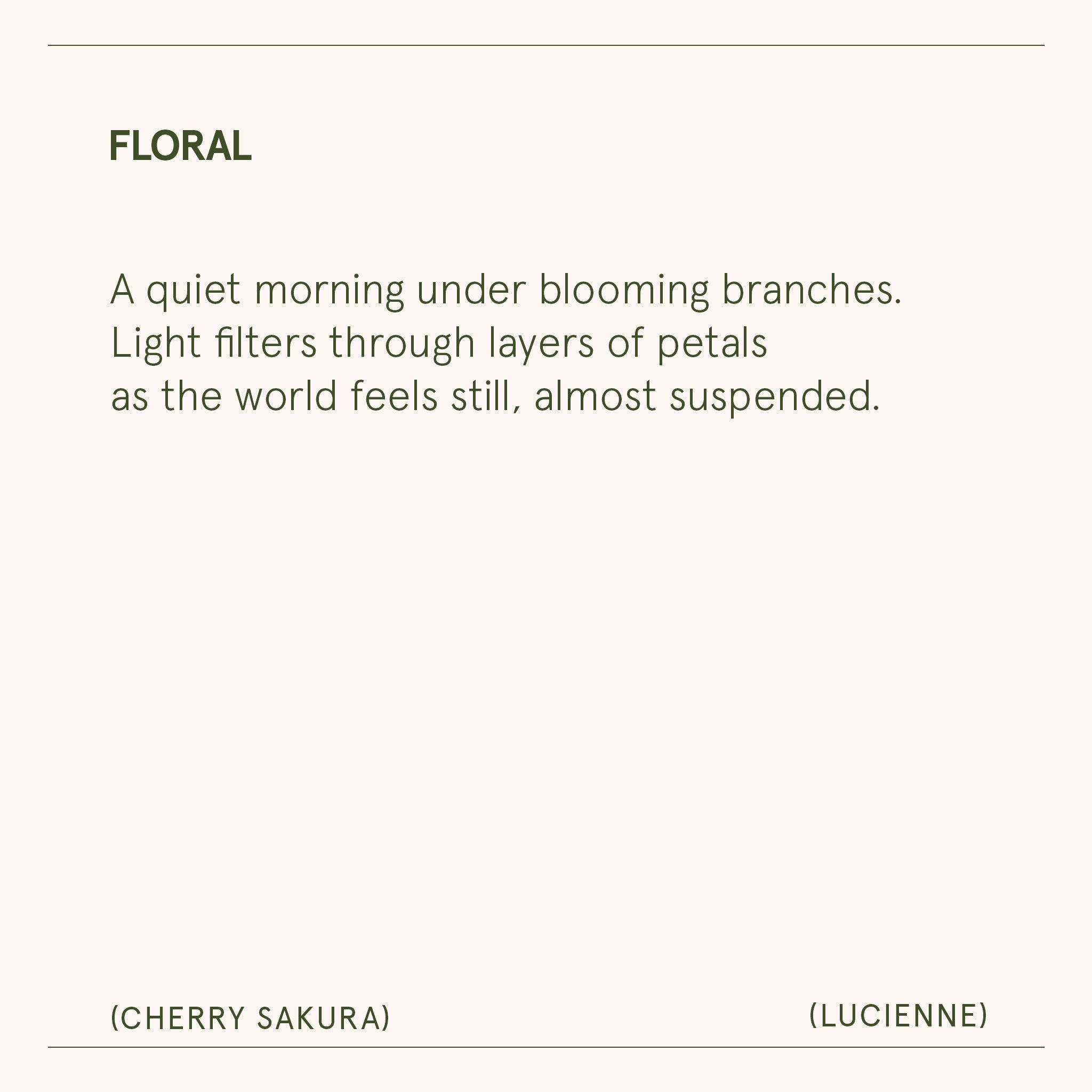 Product view 8 - Lucienne - Cherry Sakura Candle - LA JOLIE MUSE