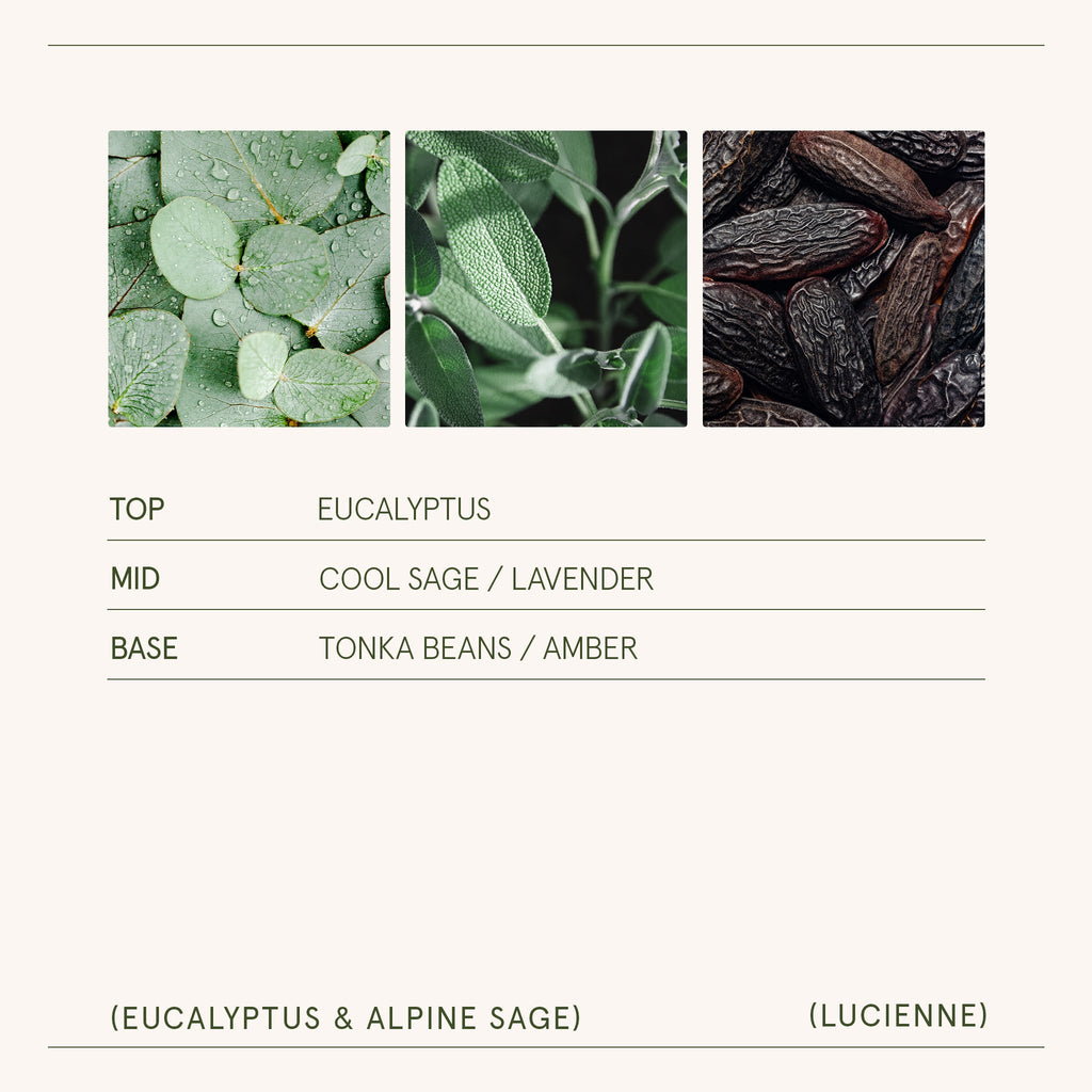 Product view 6 - Lucienne - Eucalyptus & Alpine Sage Candle - LA JOLIE MUSE