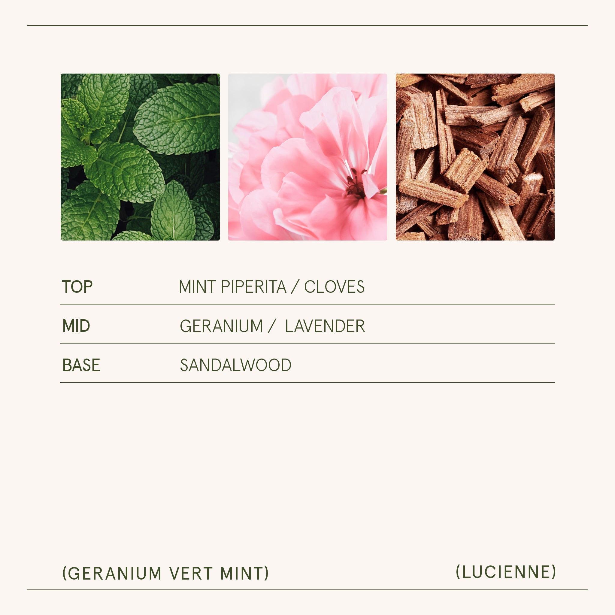 Product view 15 - Lucienne - Geranium Vert Mint Candle - LA JOLIE MUSE