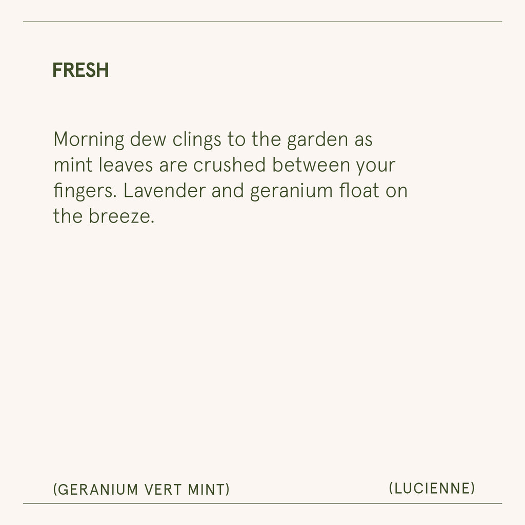 Product view 9 - Lucienne - Geranium Vert Mint Candle - LA JOLIE MUSE