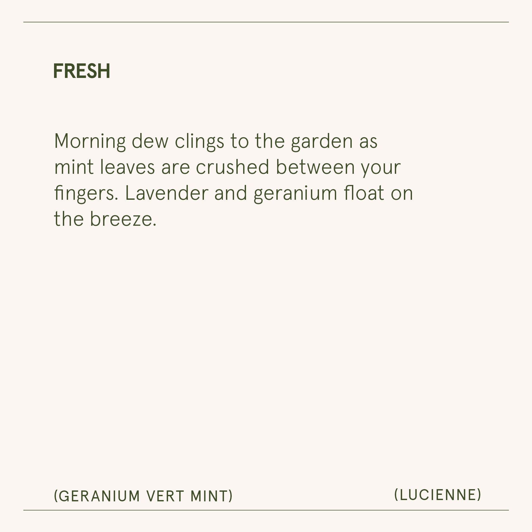 Product view 9 - Lucienne - Geranium Vert Mint Candle - LA JOLIE MUSE