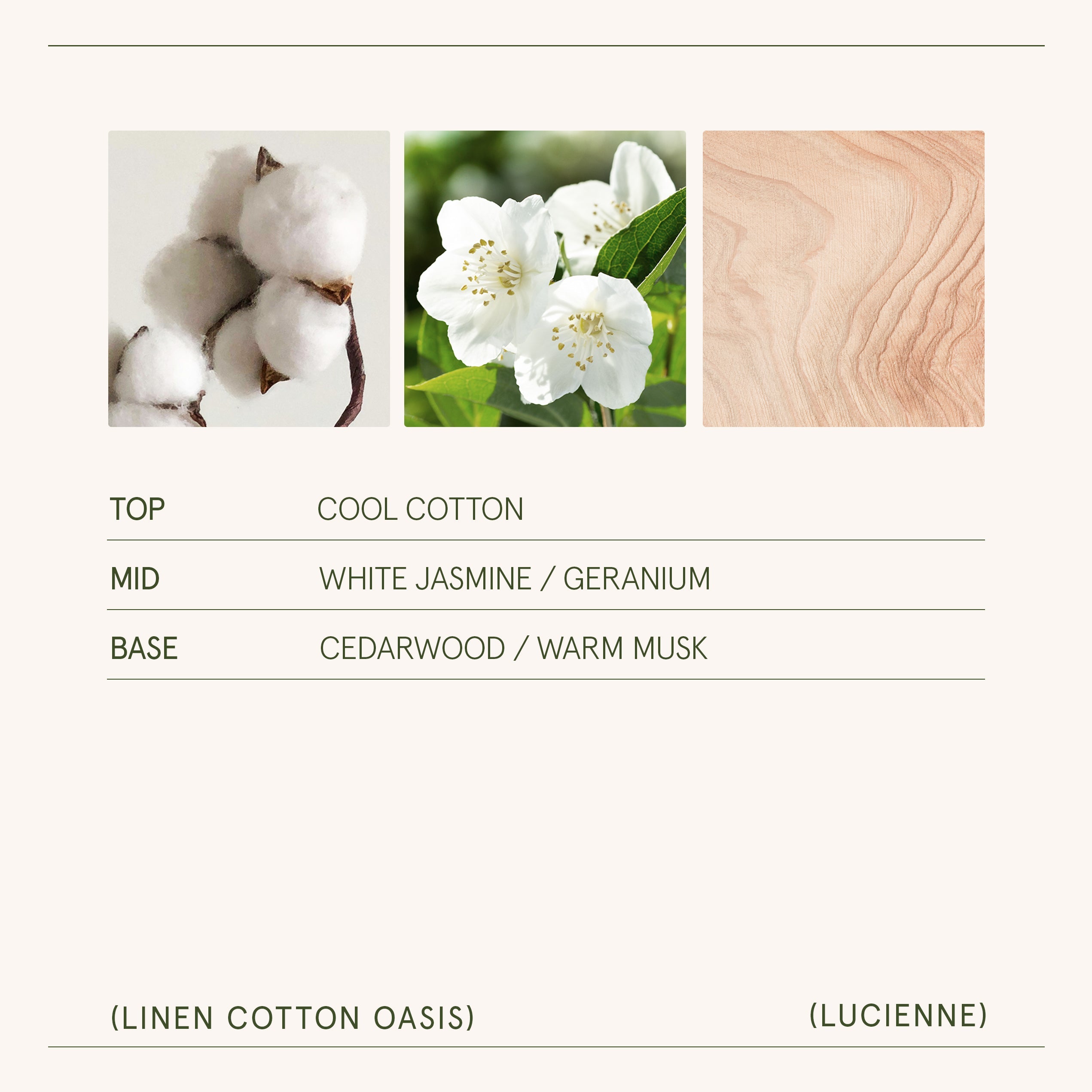 Product view 7 - Lucienne - Linen Cotton Oasis Candle - LA JOLIE MUSE