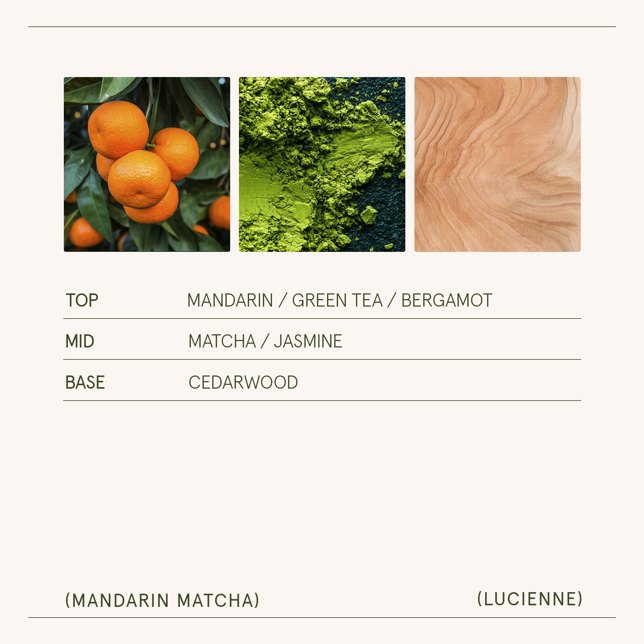 Product view 15 - Lucienne - Mandarin Matcha Candle - LA JOLIE MUSE
