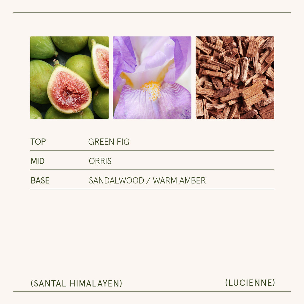 Product view 7 - Lucienne - Santal Himalayen Candle - LA JOLIE MUSE
