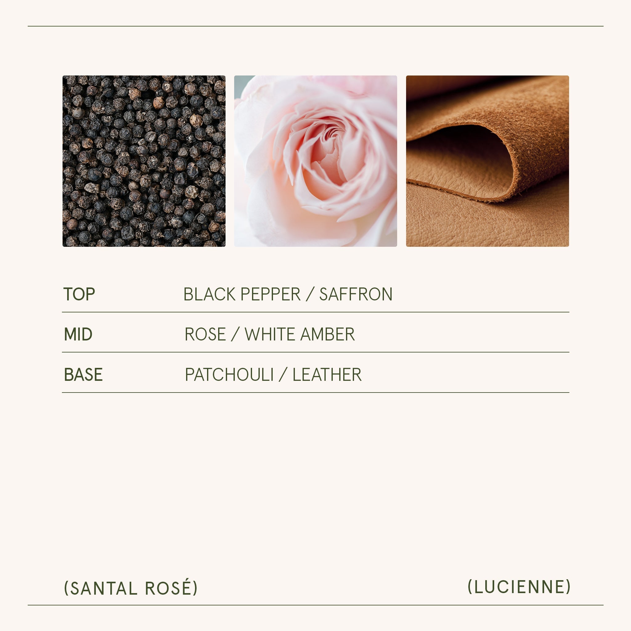 Product view 15 - Lucienne - Santal Rosé Candle - LA JOLIE MUSE