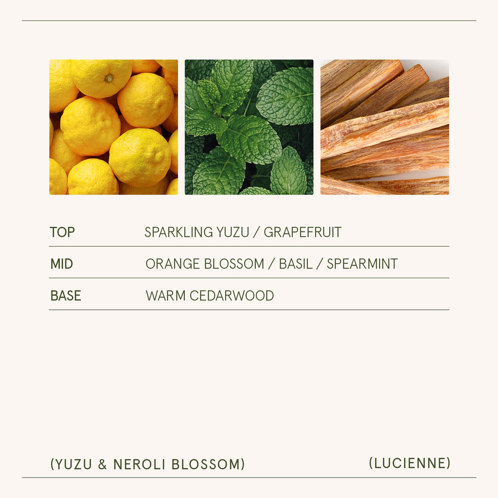 Product view 7 - Lucienne - Yuzu & Neroli Blossom Candle - LA JOLIE MUSE