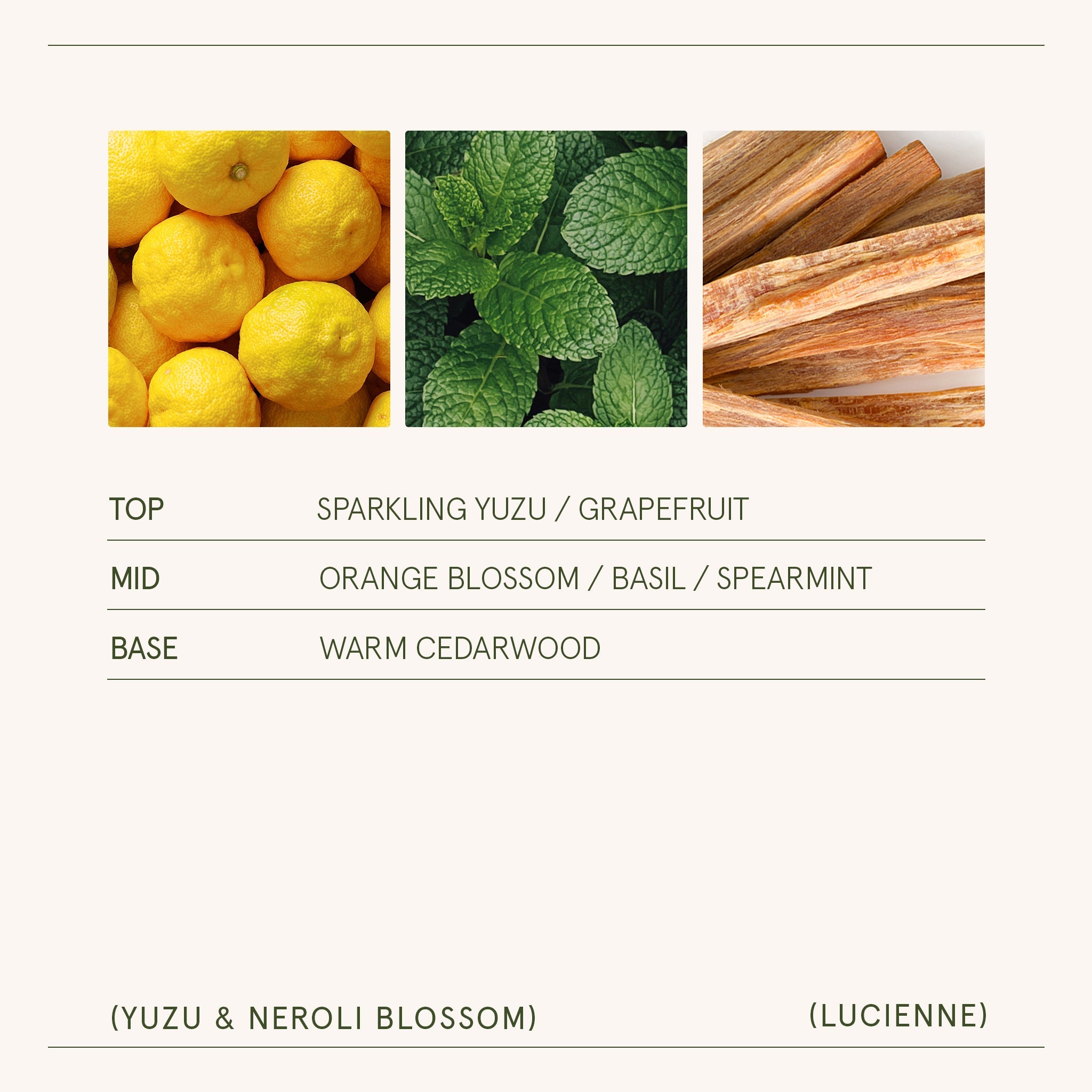 Product view 7 - Lucienne - Yuzu & Neroli Blossom Candle - LA JOLIE MUSE