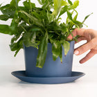 Close-up detail showing quality craftsmanship and materials - Geometric Oval Handmade Porcelain Planter