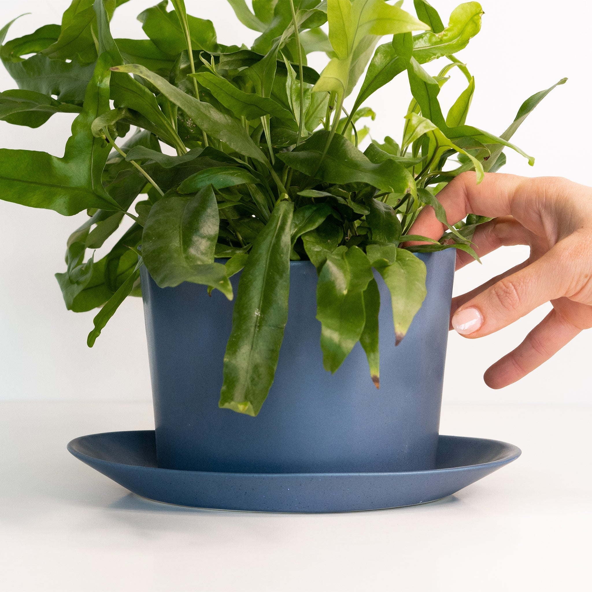 Close-up detail showing quality craftsmanship and materials - Geometric Oval Handmade Porcelain Planter