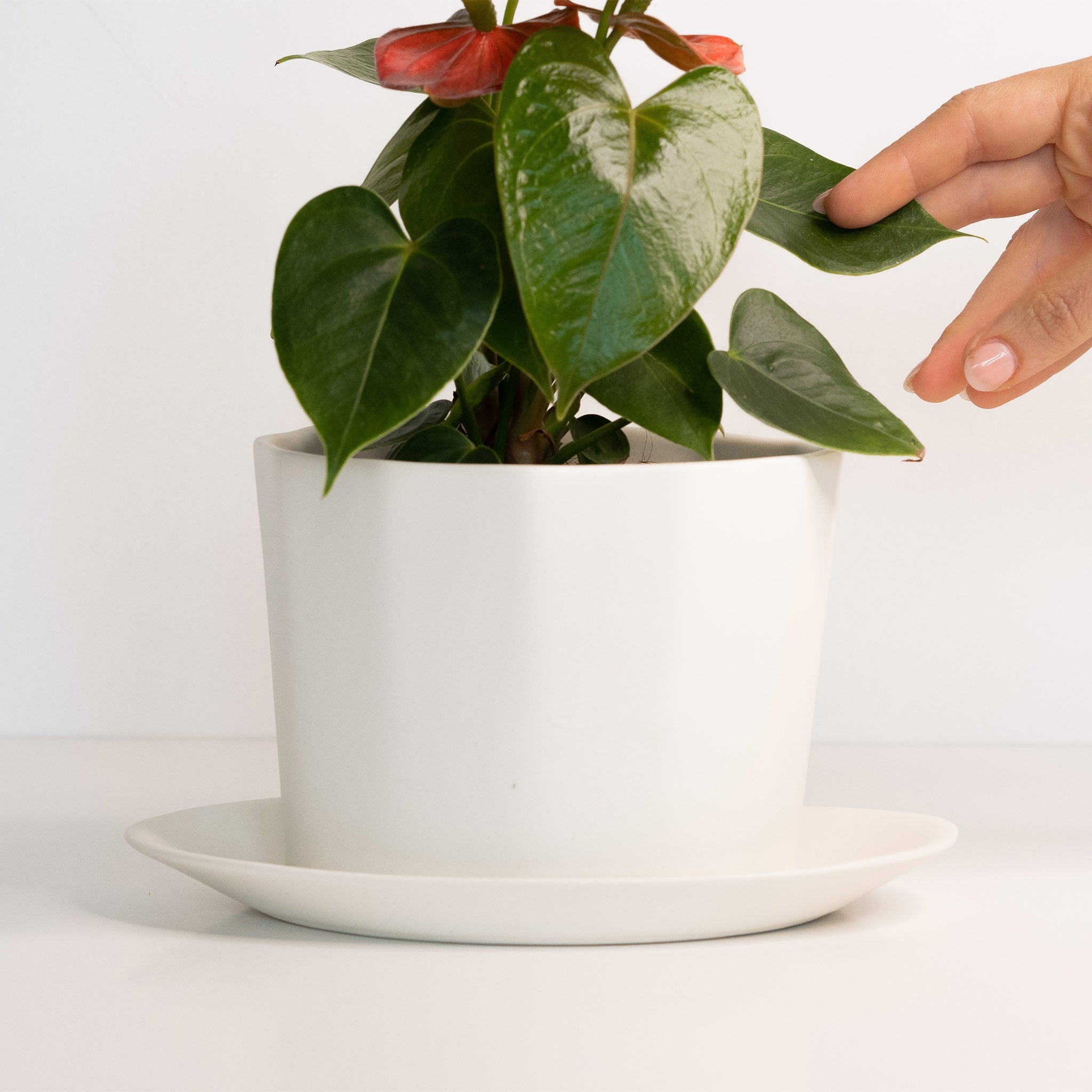Geometric Oval Handmade Porcelain Planter - premium quality - Ember Collective