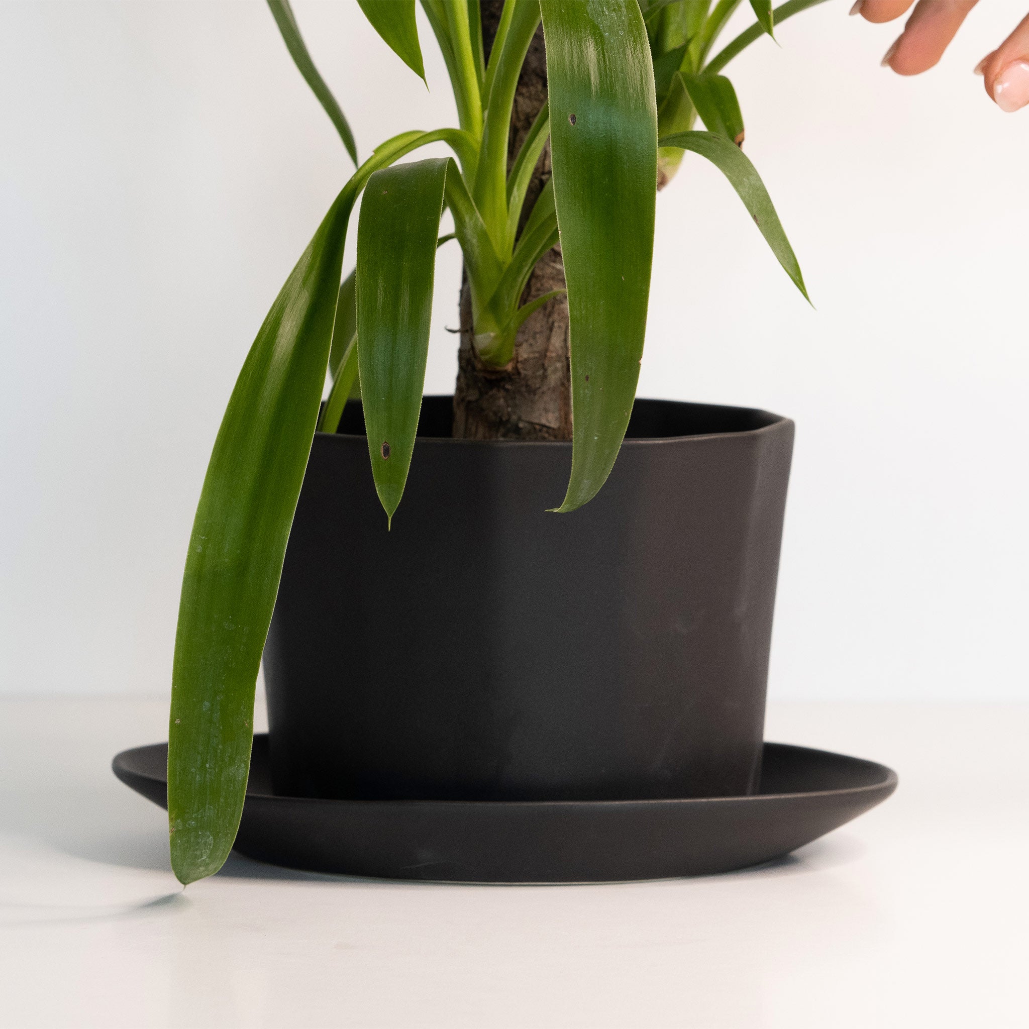 Product view 4 - Geometric Oval Handmade Porcelain Planter - Ember Collective