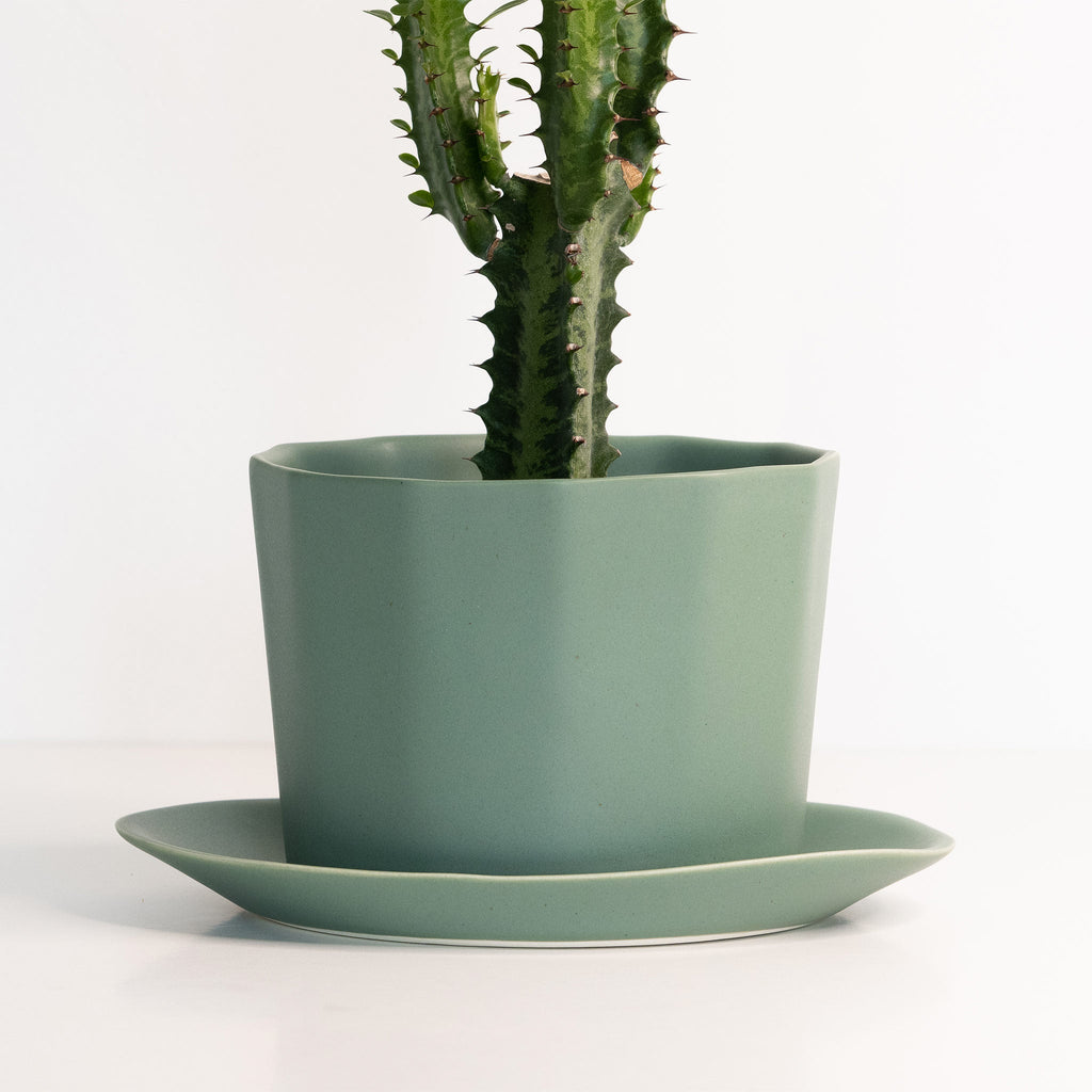 Lifestyle photo showing Geometric Oval Handmade Porcelain Planter in use - Ember Collective