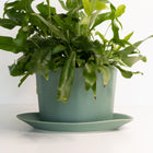 Product view 7 - Geometric Oval Handmade Porcelain Planter - Ember Collective