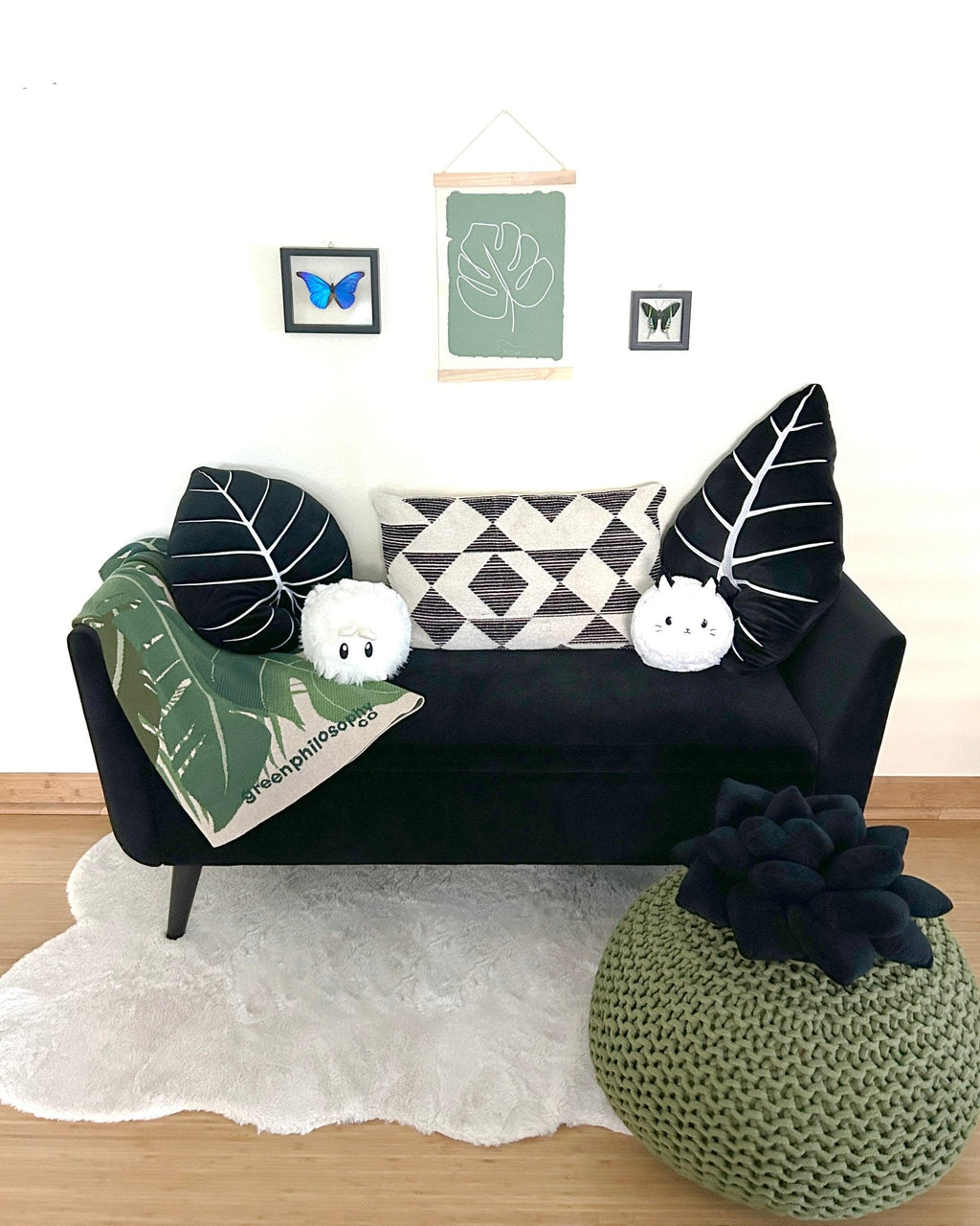 Product view 5 - Alocasia Frydek - Obsidian - Green Philosophy Co.