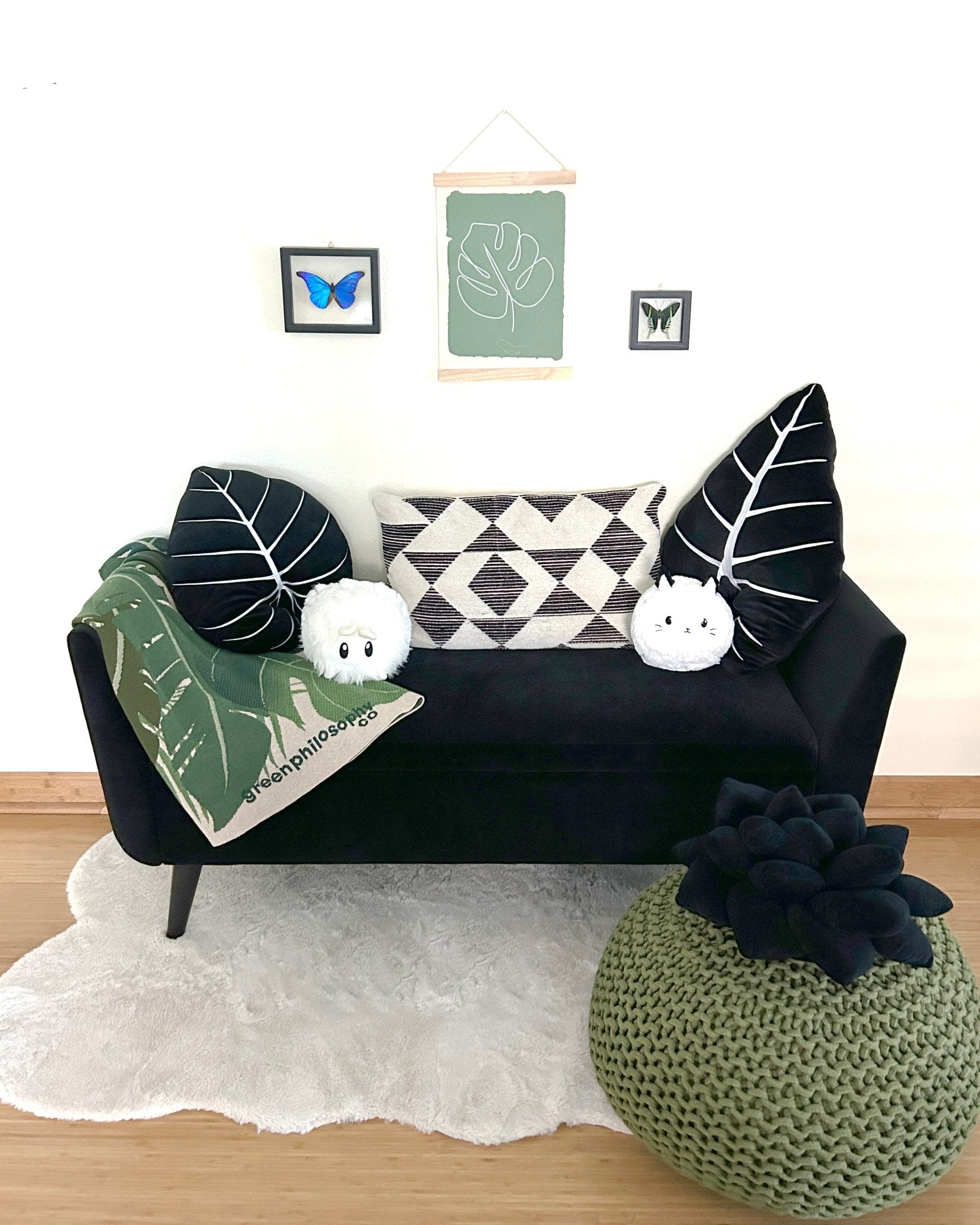 Product view 5 - Alocasia Frydek - Obsidian - Green Philosophy Co.