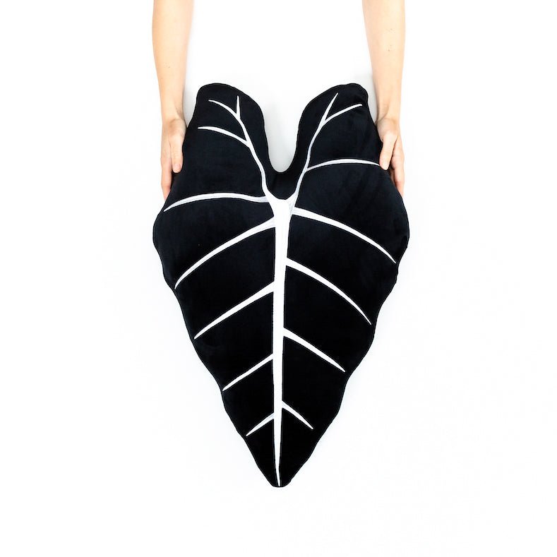 Close-up detail showing quality craftsmanship and materials - Alocasia Frydek - Obsidian