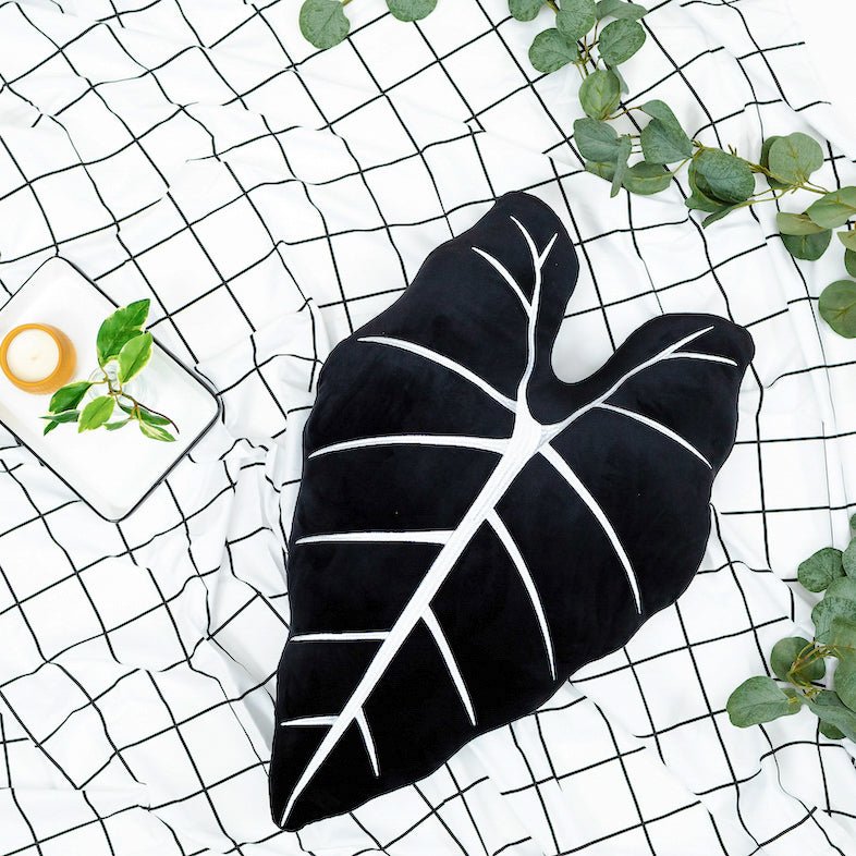 Product view 4 - Alocasia Frydek - Obsidian - Green Philosophy Co.