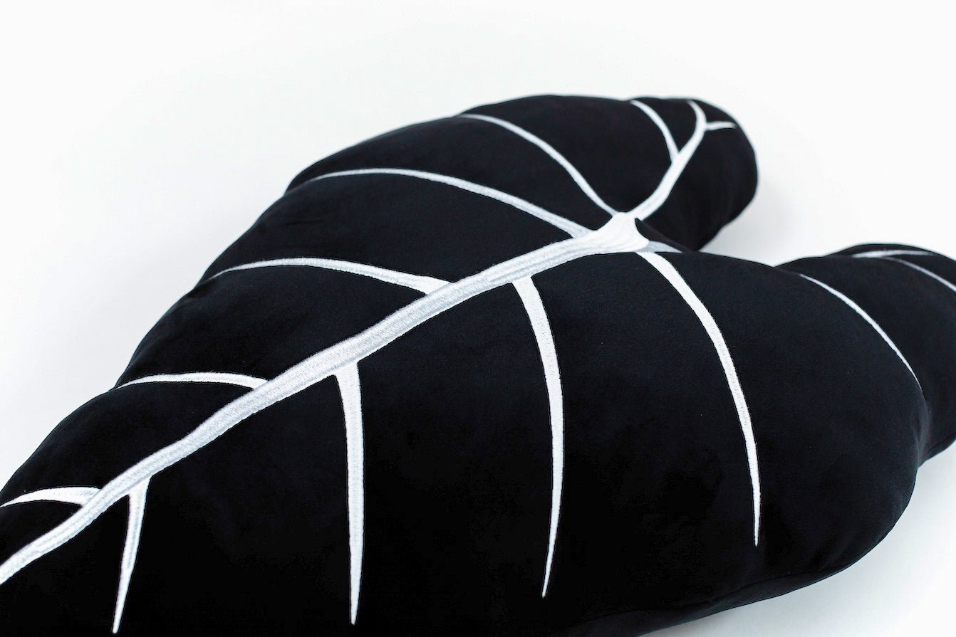 Lifestyle photo showing Alocasia Frydek - Obsidian in use - Green Philosophy Co.