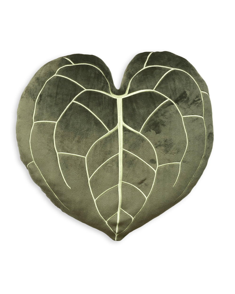 Anthurium Clarinervium - Khaki - premium quality - Green Philosophy Co.