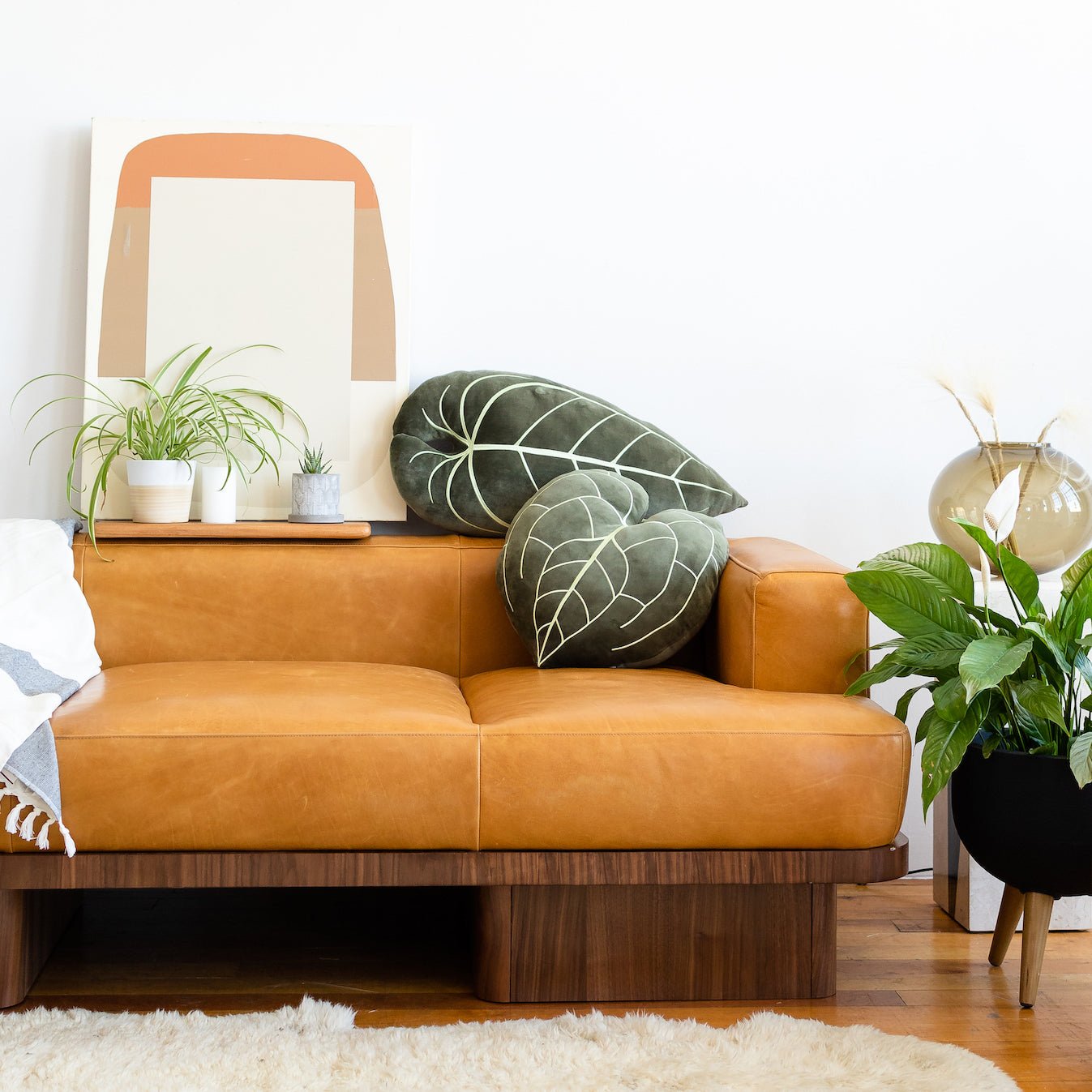 Lifestyle photo showing Anthurium Clarinervium - Khaki in use - Green Philosophy Co.