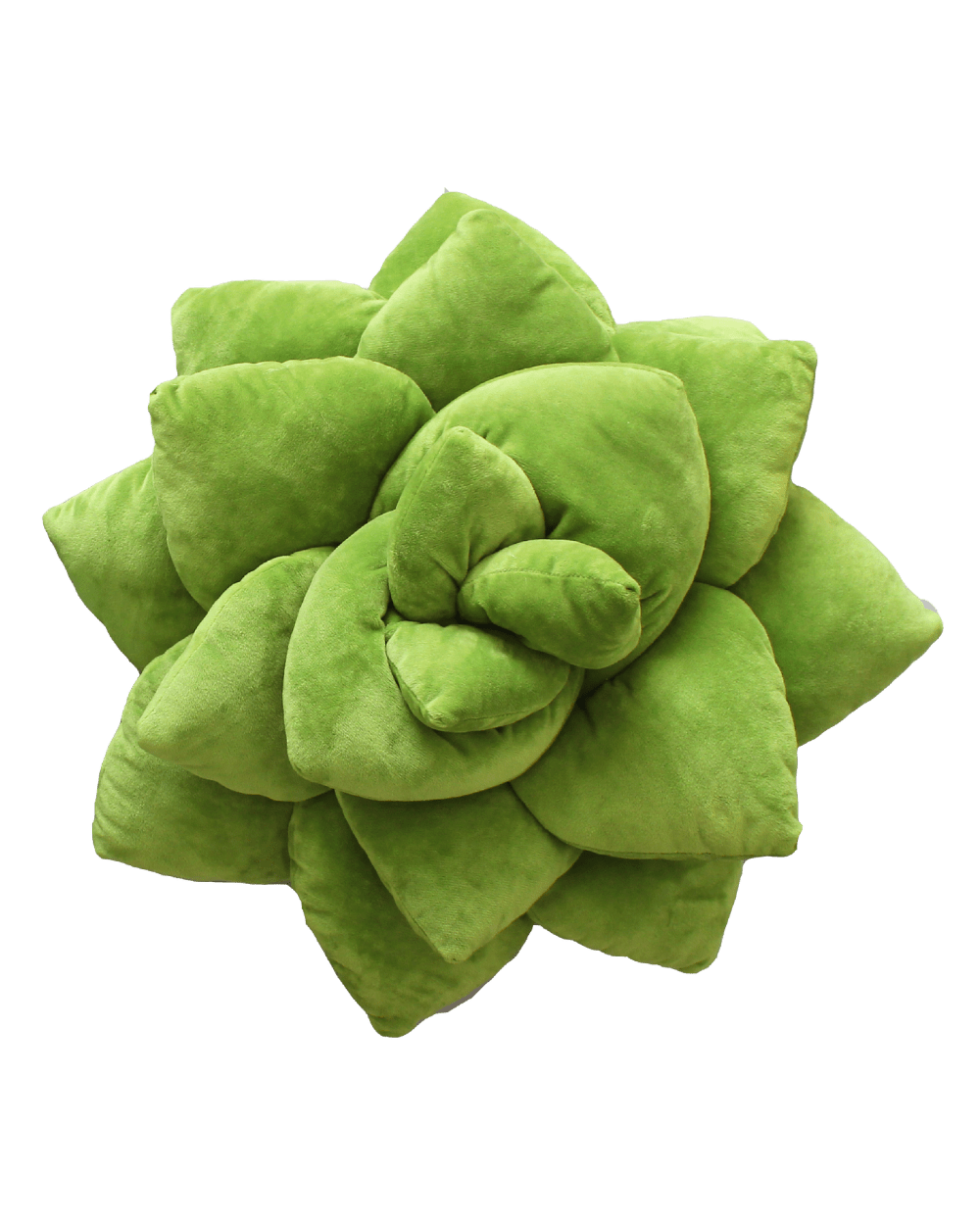 Big Pop Succulent® - Olive Green - premium quality - Green Philosophy Co.