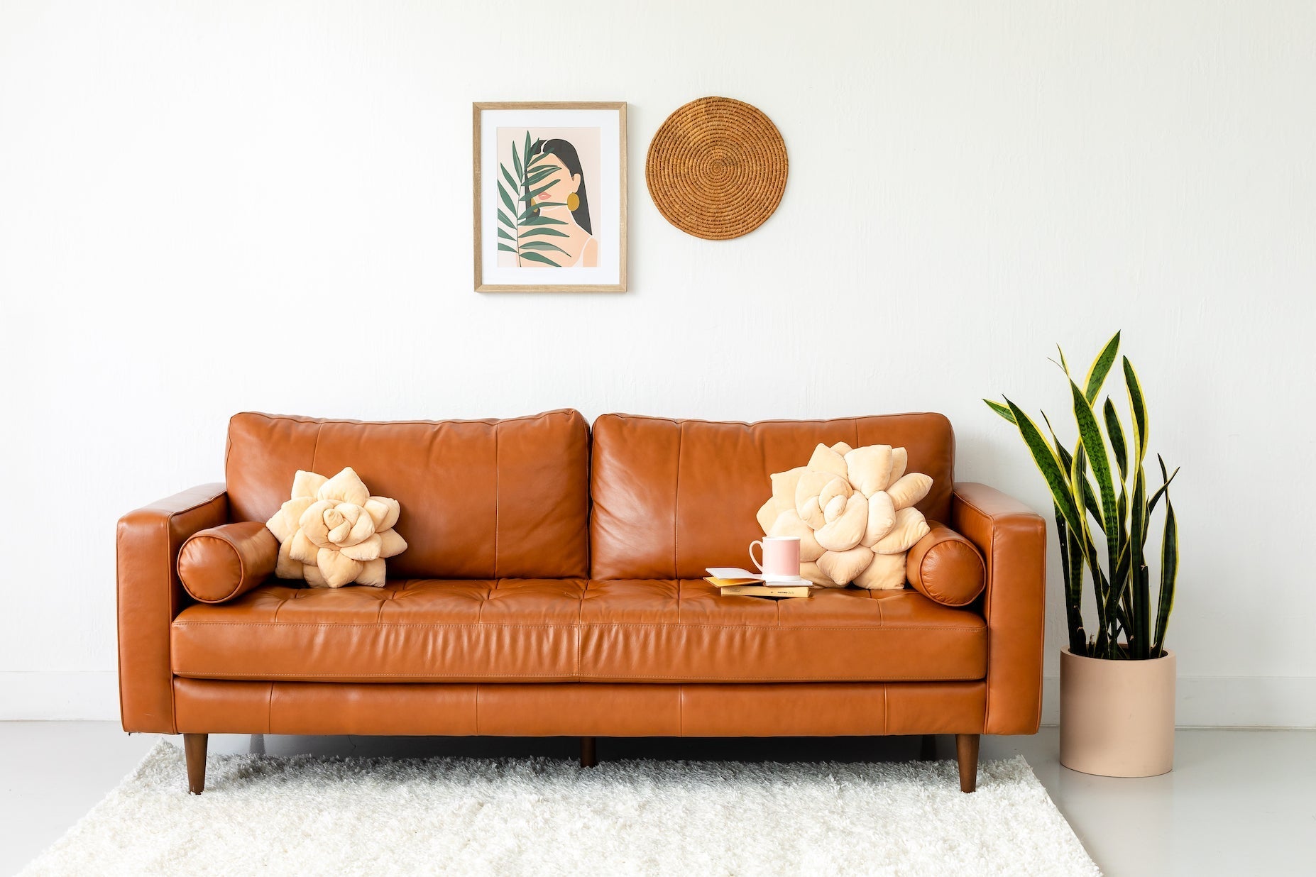 Lifestyle photo showing Big Pop Succulent® - Blush Peach in use - Green Philosophy Co.