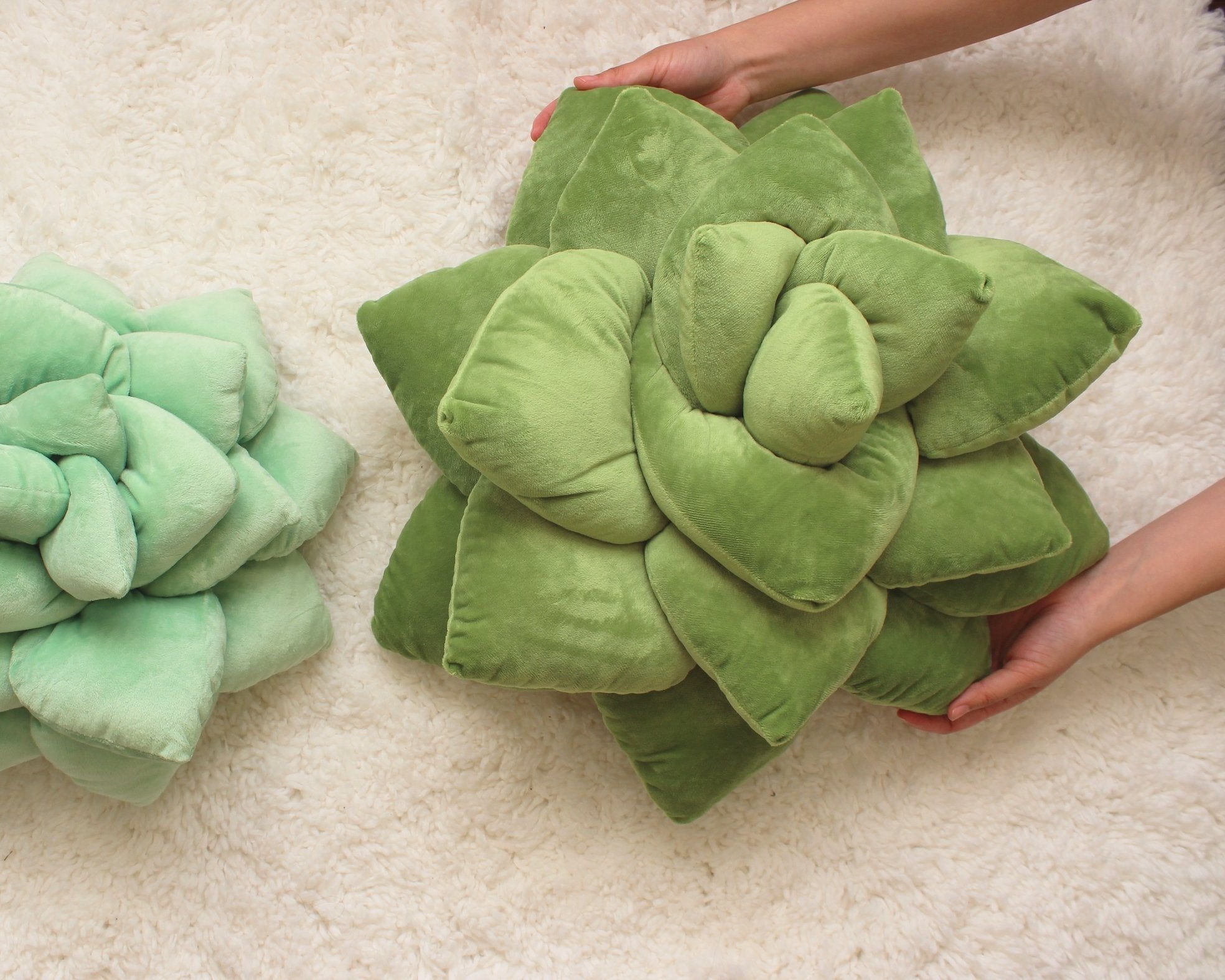 Product view 4 - Big Pop Succulent® - Olive Green - Green Philosophy Co.