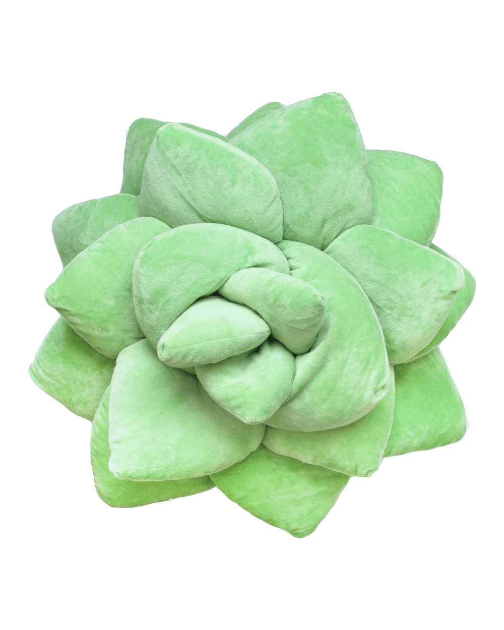 Big Pop Succulent® - Sage Green - premium quality - Green Philosophy Co.