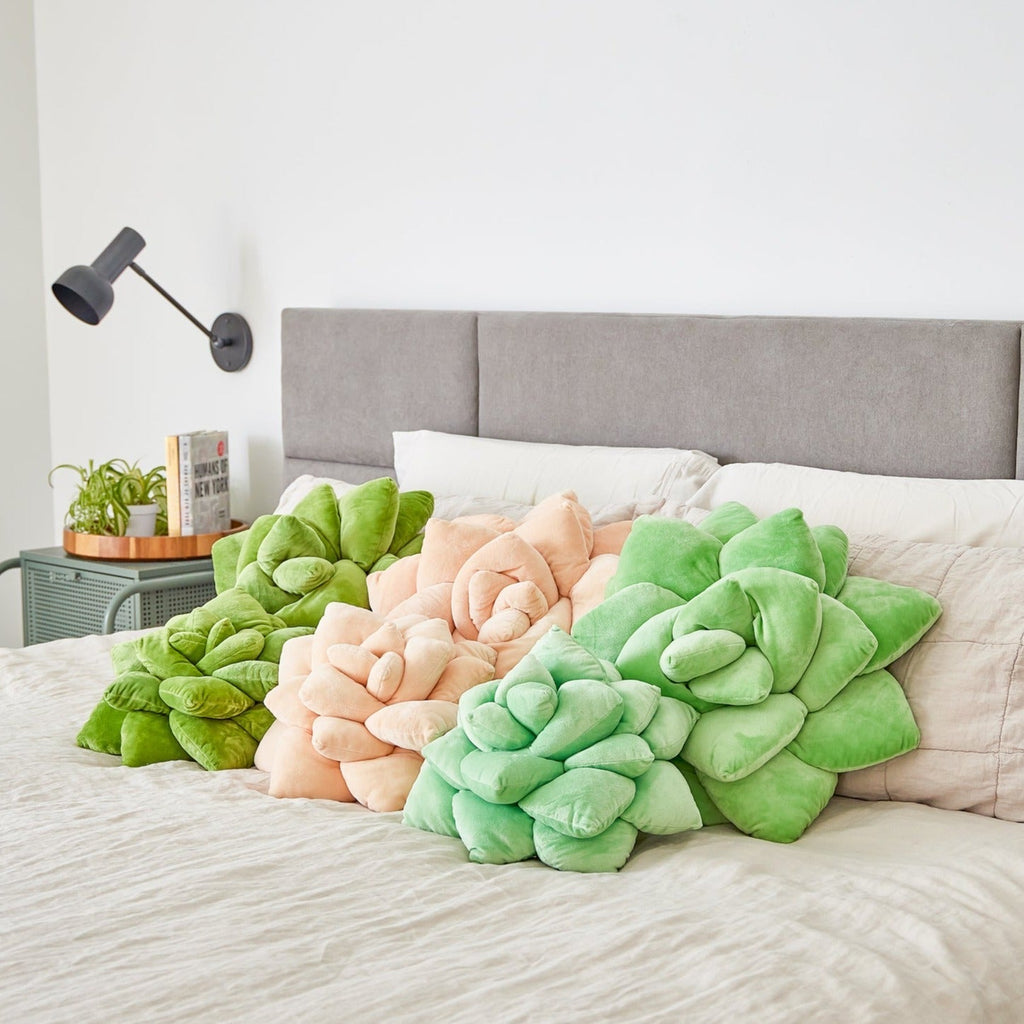 Product view 6 - Lil' Pop Succulent® - Blush Peach - Green Philosophy Co.